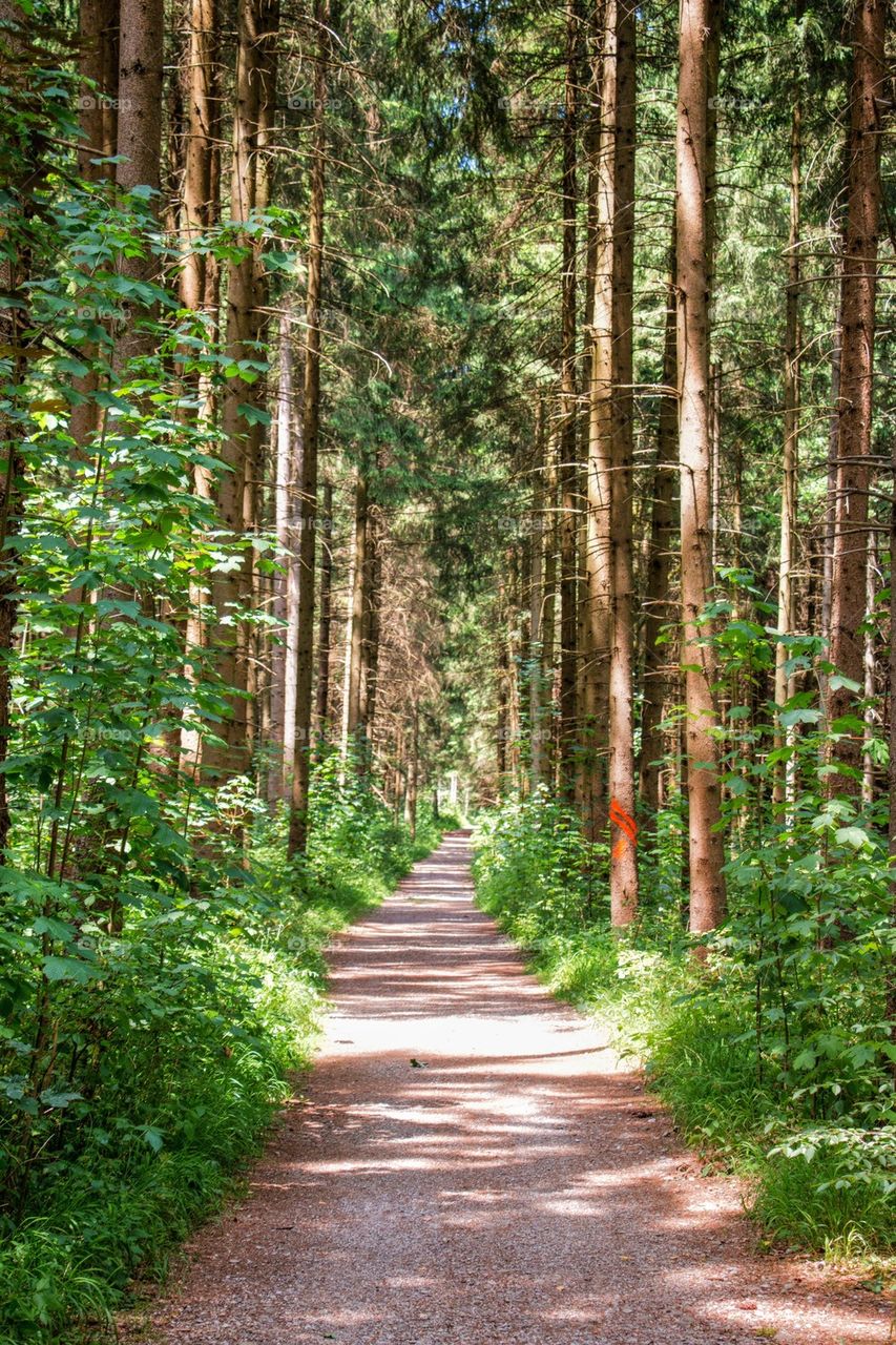 Hiking in Germany 