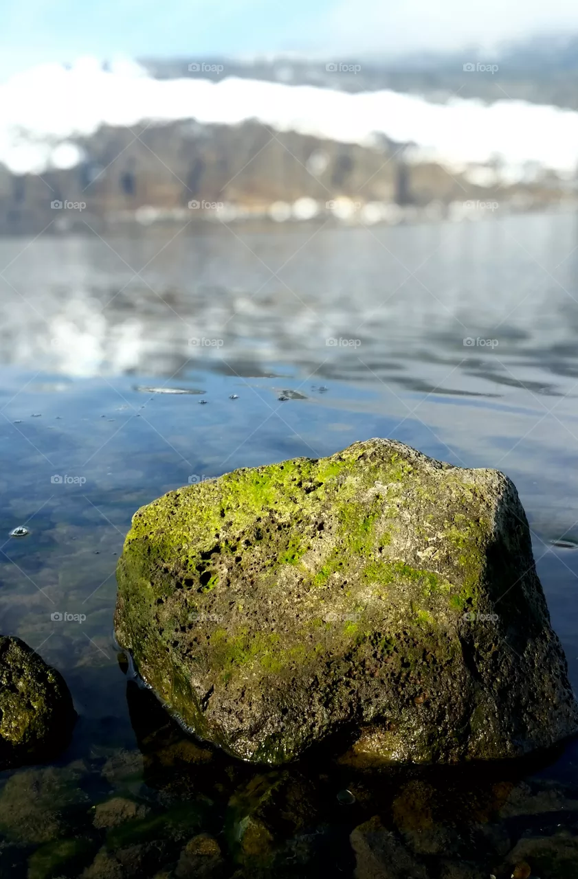 Rock in sea