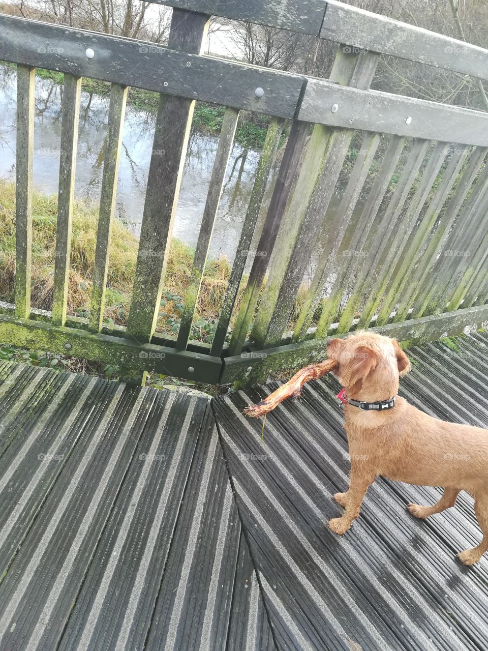 Look at all that water