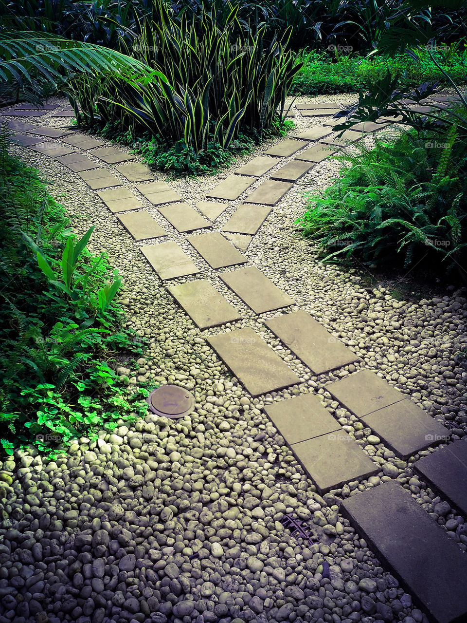 nature green pathway walkway by junpinzon