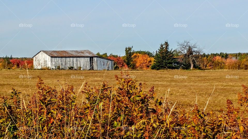 abandon barn