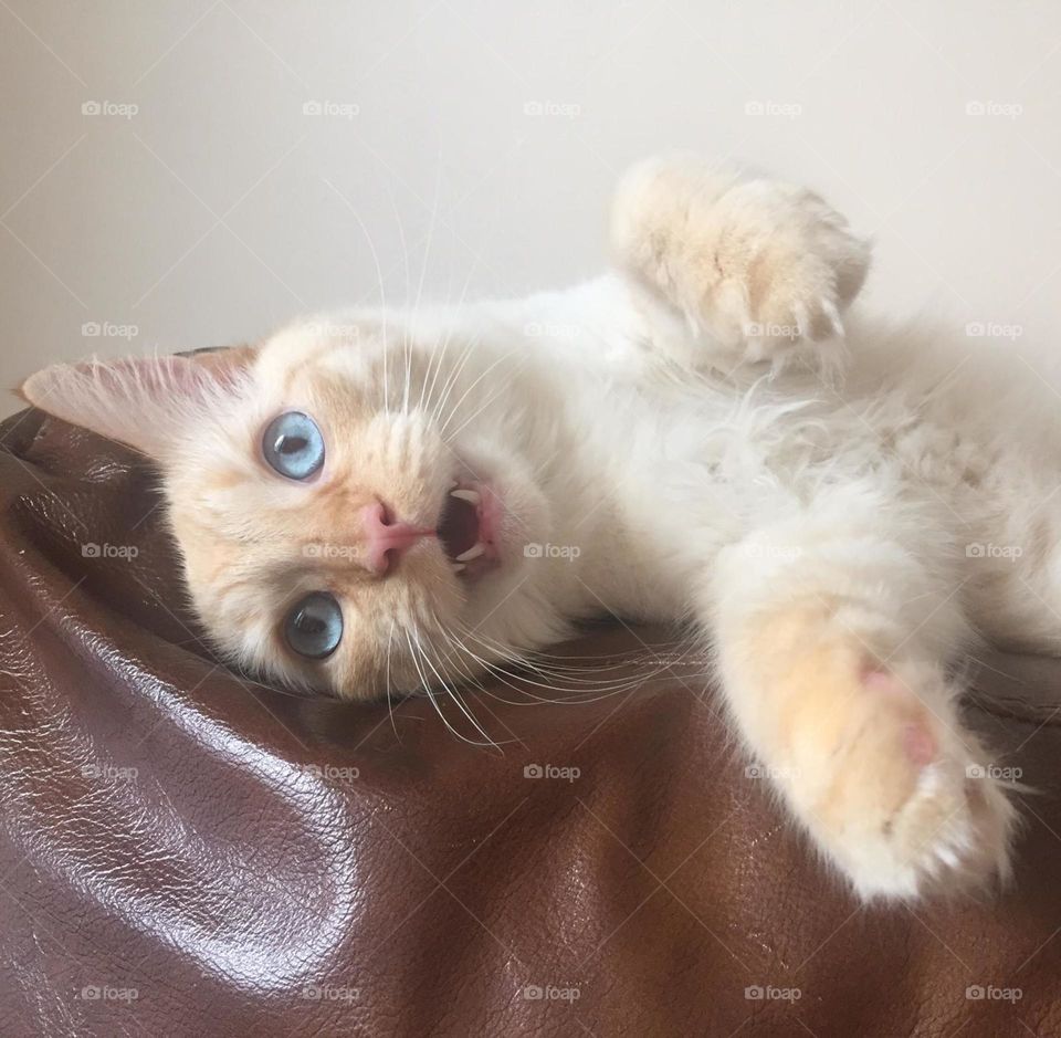 “Ok we will take that as a smile then” 😂