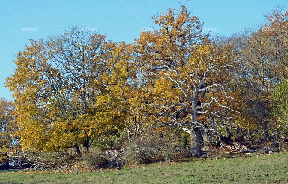 Kvalmsö ronneby sweden