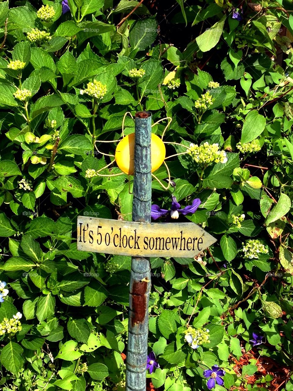 It's 5 o'clock somewhere!