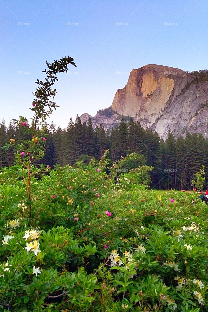 Yosemite valley, califorina