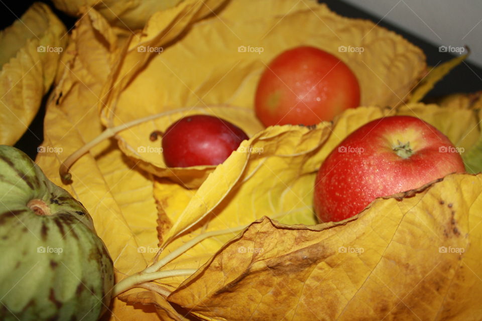 Yellow autumn leaves. On the leaves I have placed a tomato, a plum, an apple and a custard apple.