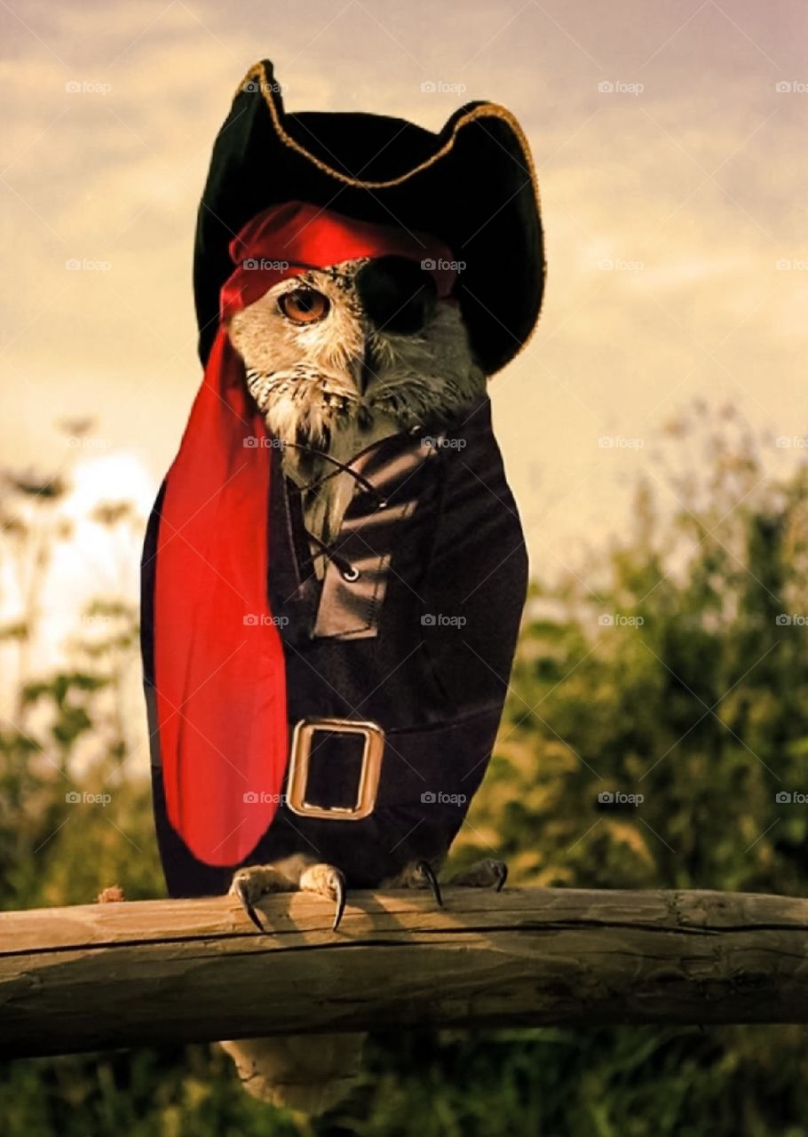 Quando un grafico si annoia