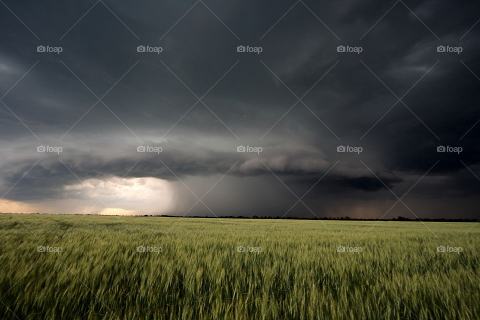 Field storm