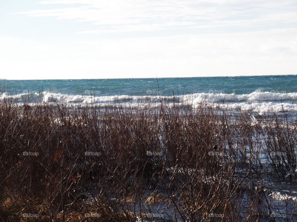 Northern Michigan 