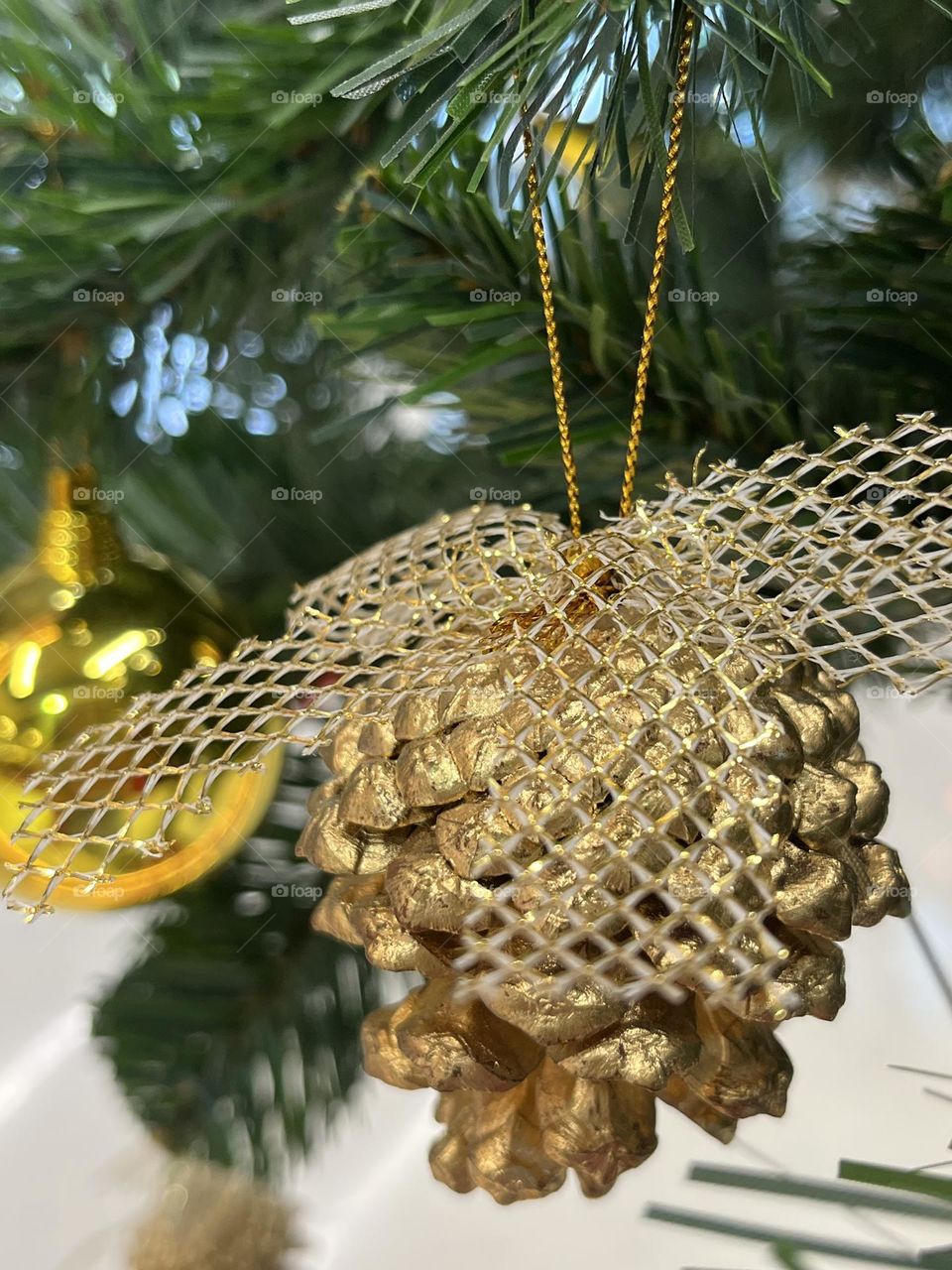 📸Capture the Power of Complementary Colors 