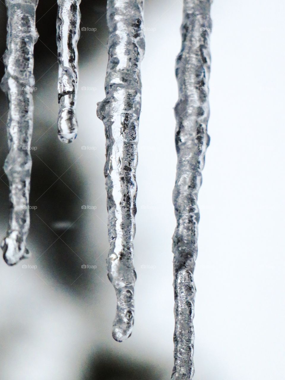 Close-up of icicles