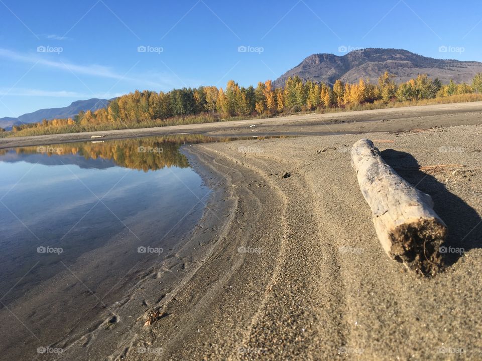 Fall tree reflection