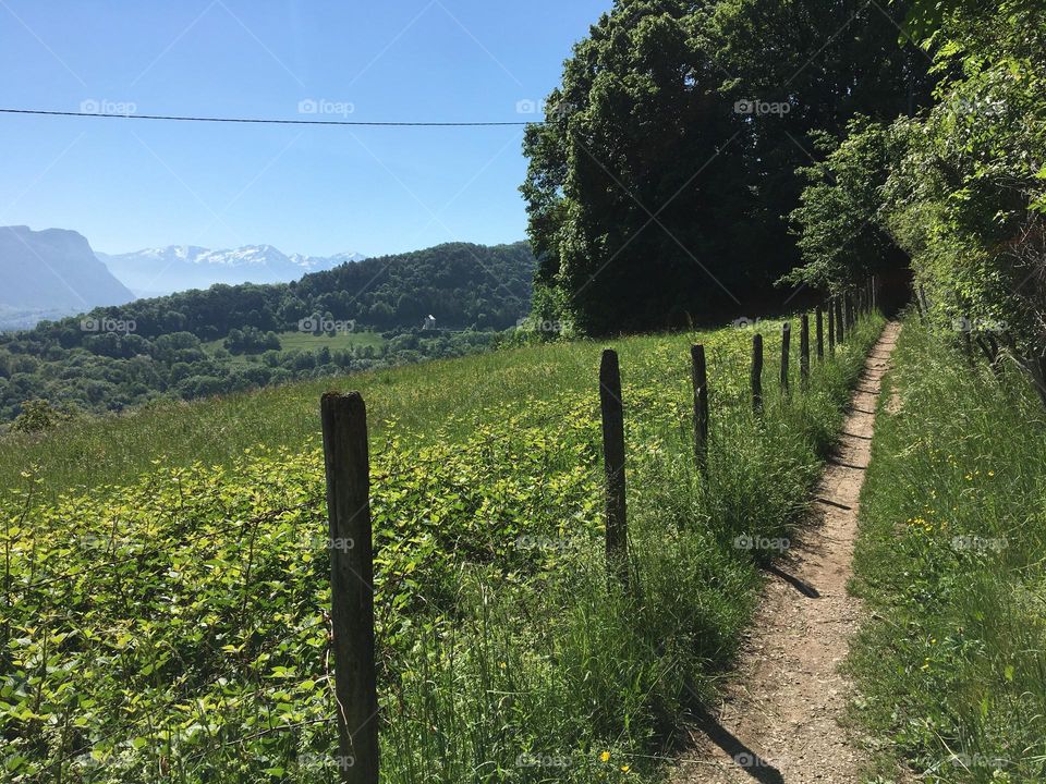 Hiking along the path in meadows at summertime 