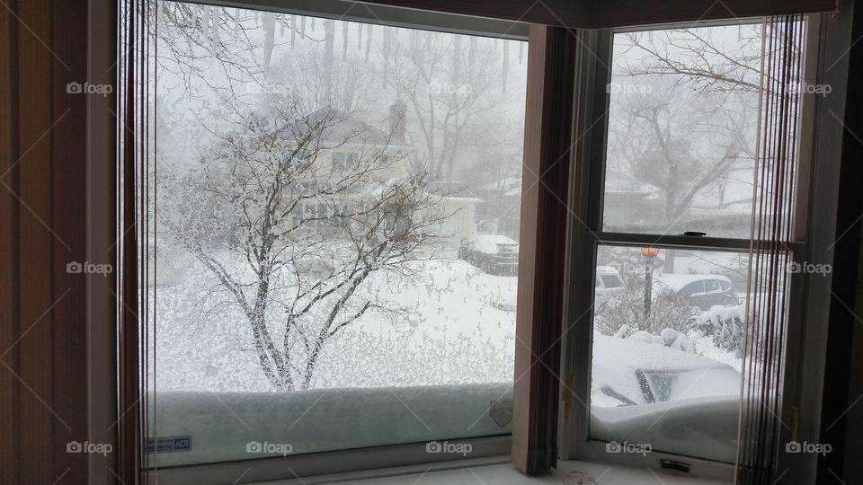 Window, Indoors, Room, Light, House