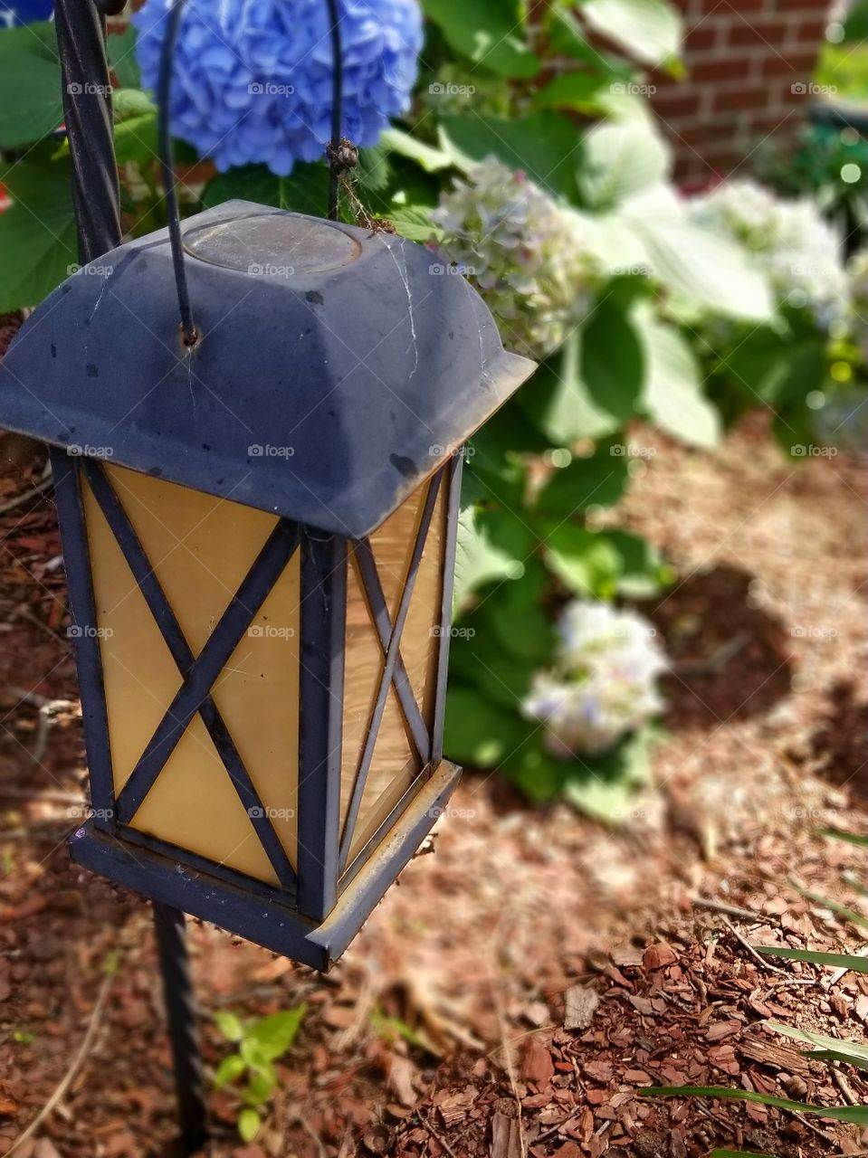Daytime lantern