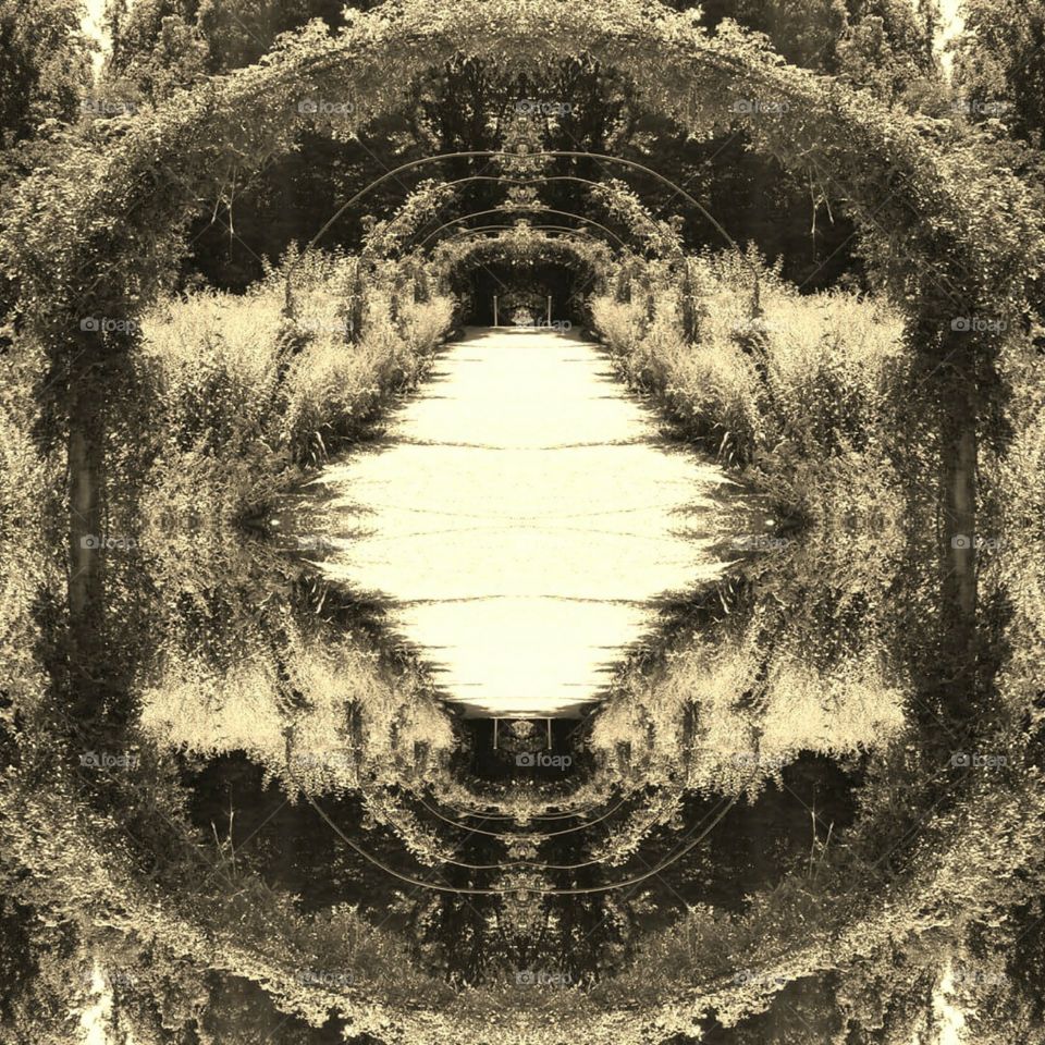 No Person, Old, Art, Nature, Reflection