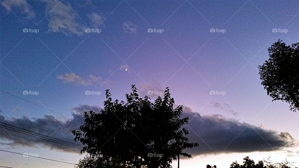 Crescent Moon in Twilight Sky!