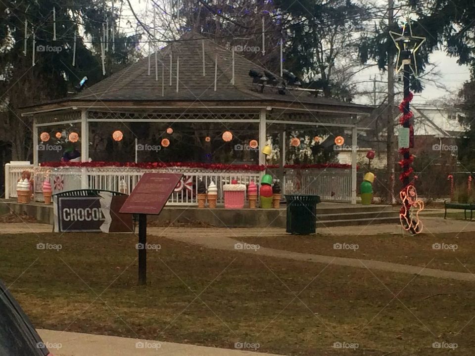 People, Competition, Tree, No Person, Building