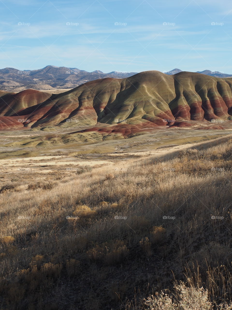 The textured Painted Hills in Eastern Oregon with layers of red, brown, green, and yellow on a sunny winter afternoon. 