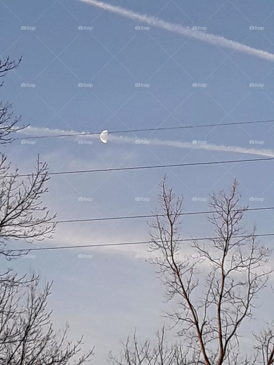 moon in the morning sky