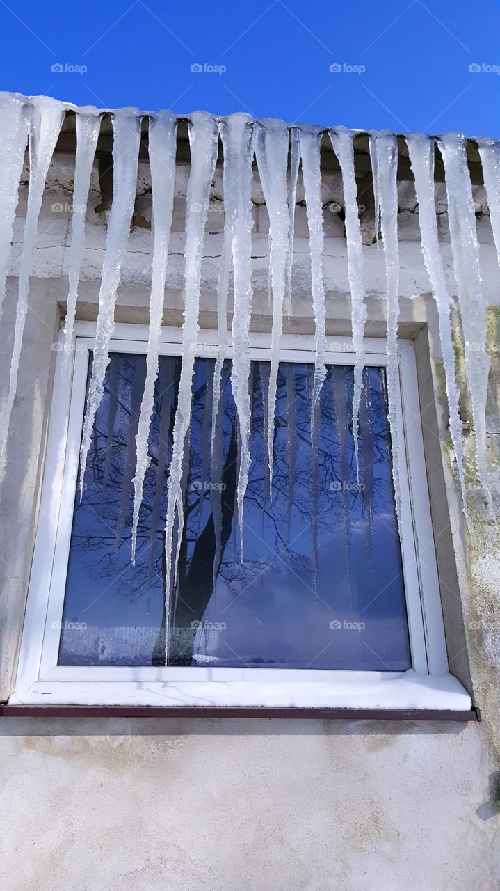 Icicles