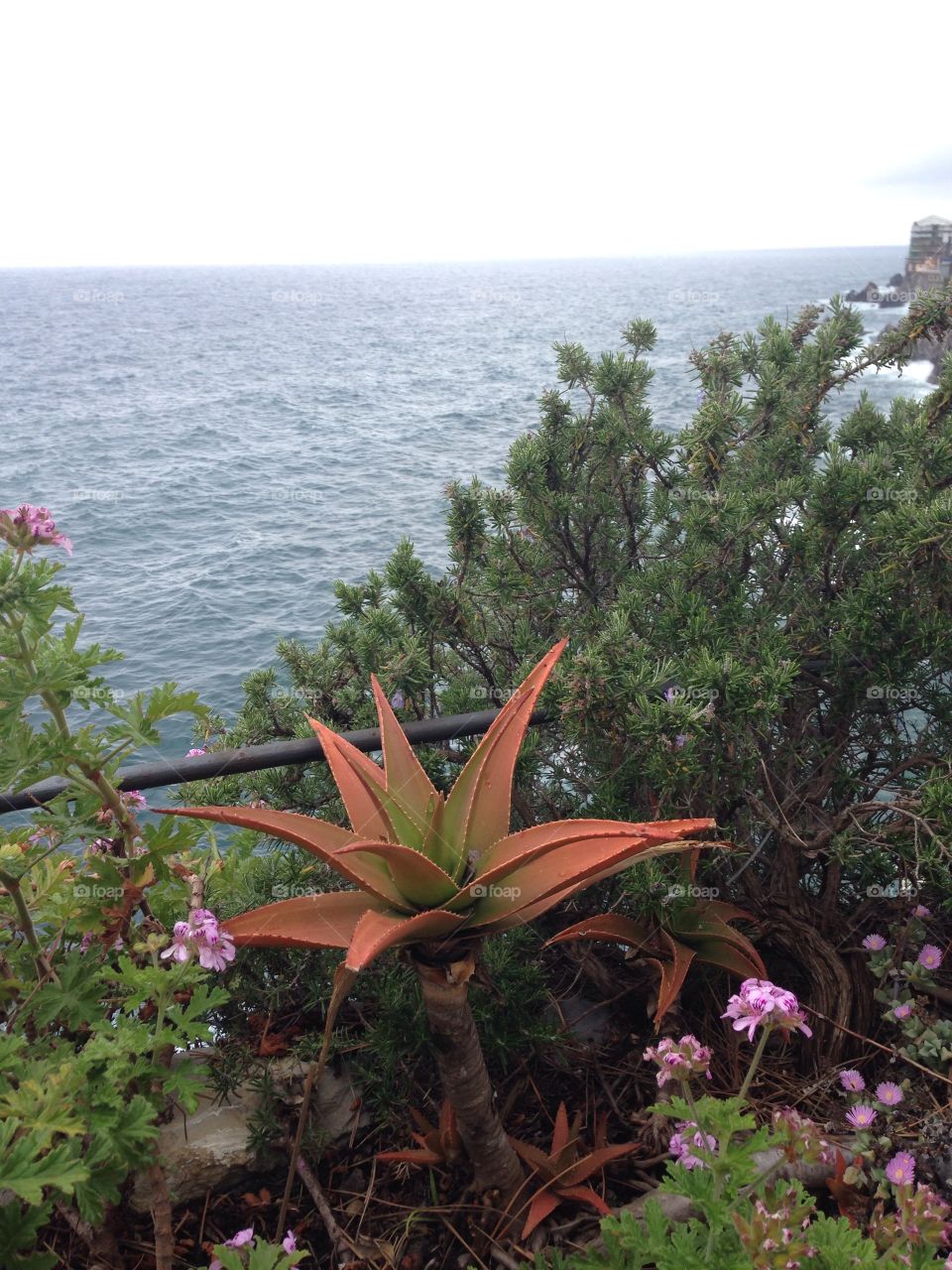 Nervi Genova Liguria