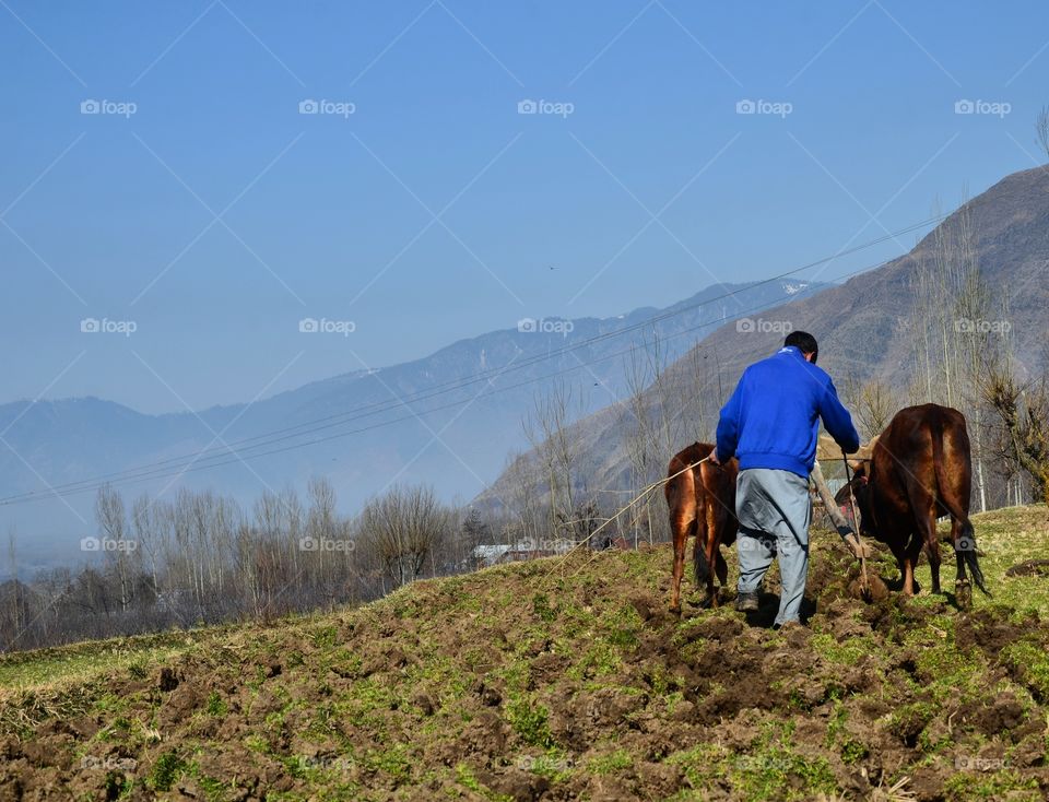 Outdoors, Mountain, Mammal, Landscape, Travel