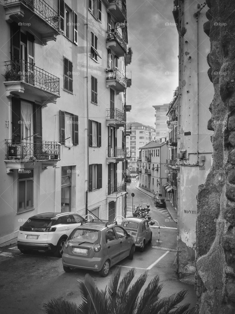 Savona