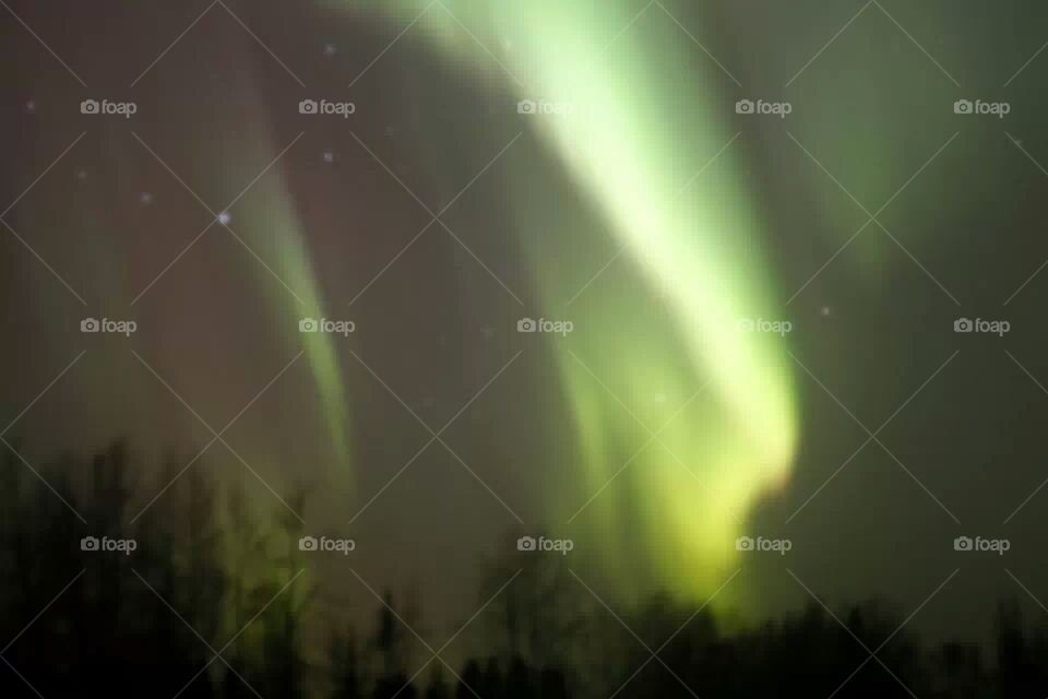 Alaska lights
