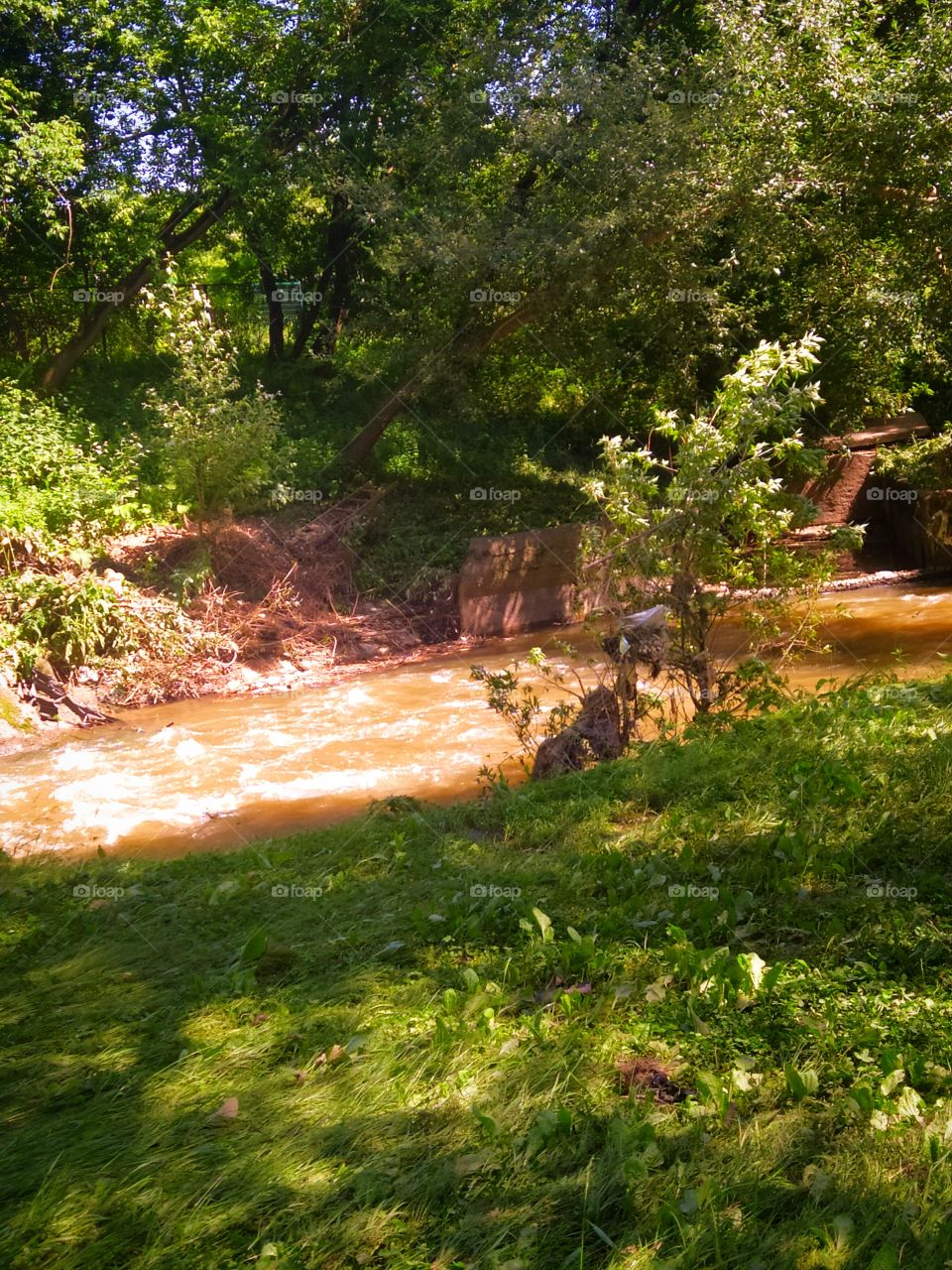 A small river after a rainstorm flows between the trees