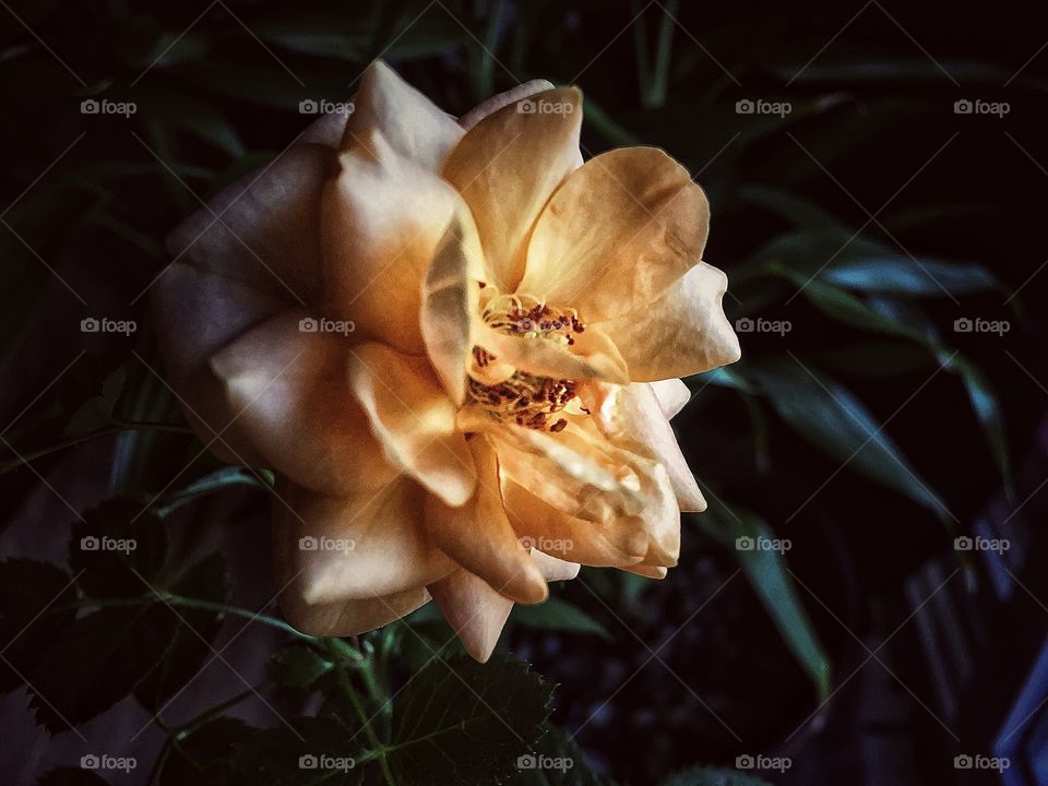 Our light shines the brightest in dark places 