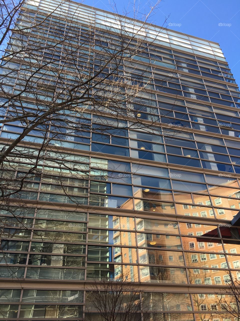 Northeastern University in Boston