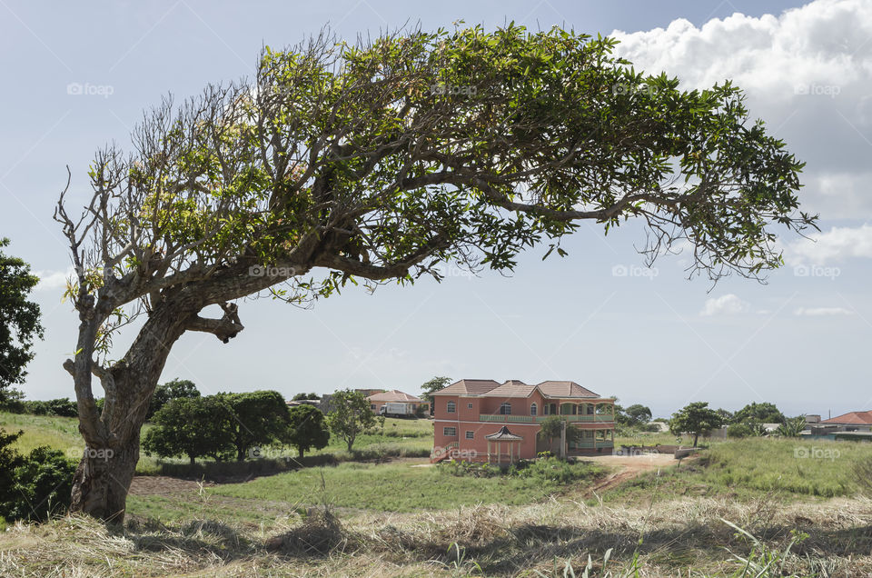 Arch Over Landscape