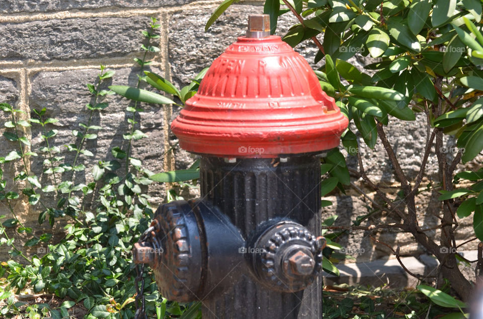 fire hydrant by julesryan