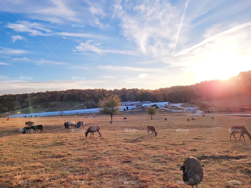Beautiful scenery from the ranch 