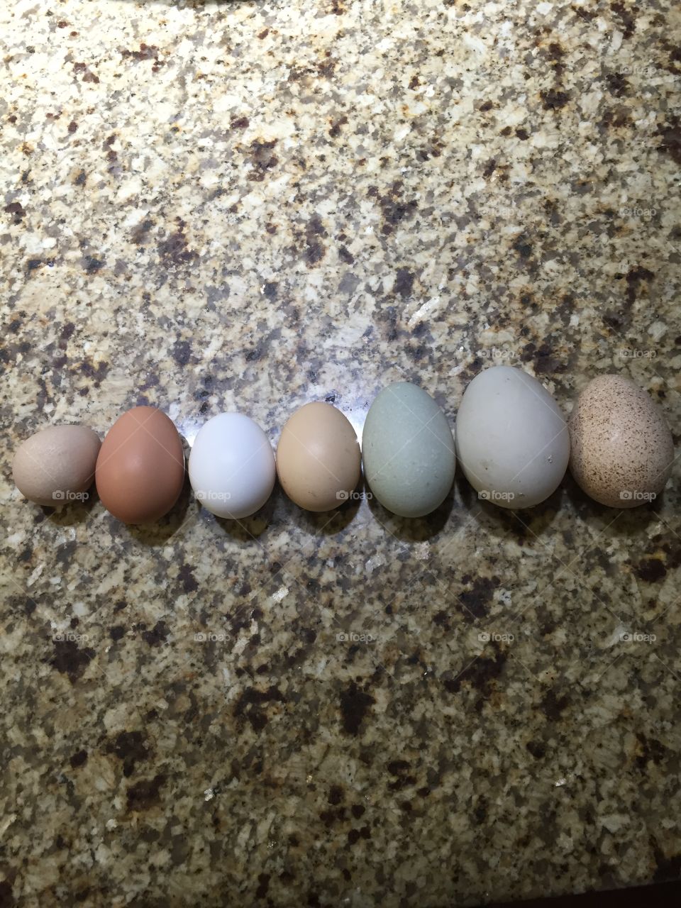 Eggs