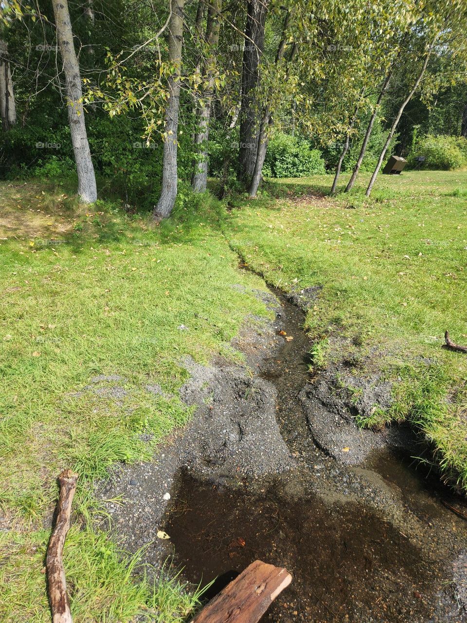 Creeks feeding the mountain lakes