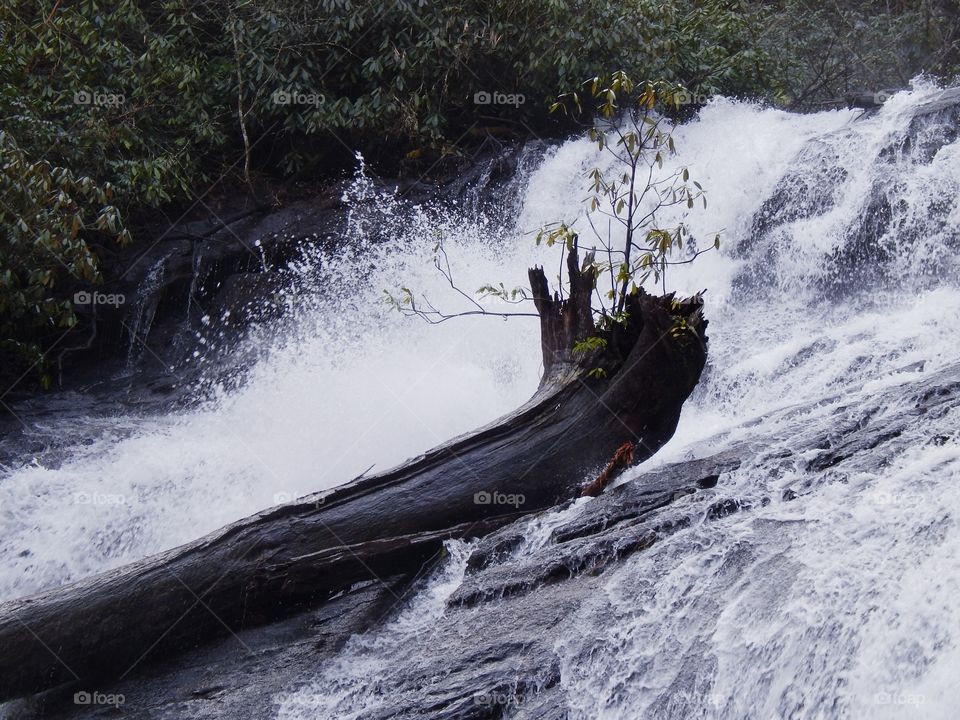 Large tree log trapped on Holcombe creek waterfall