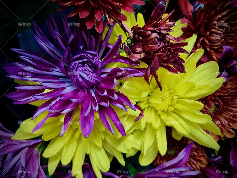 Yellow and purple flower bouquet.