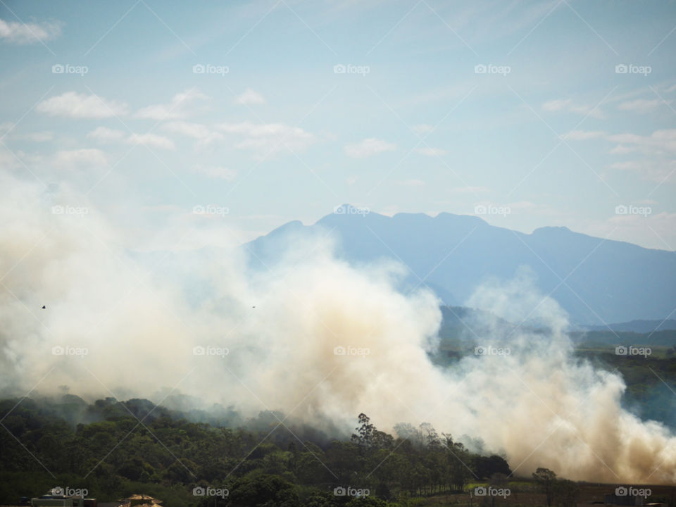 Burned. Smoke caused by fire due to burning and green vegetation in the background. It’s possible to see birds flying too.