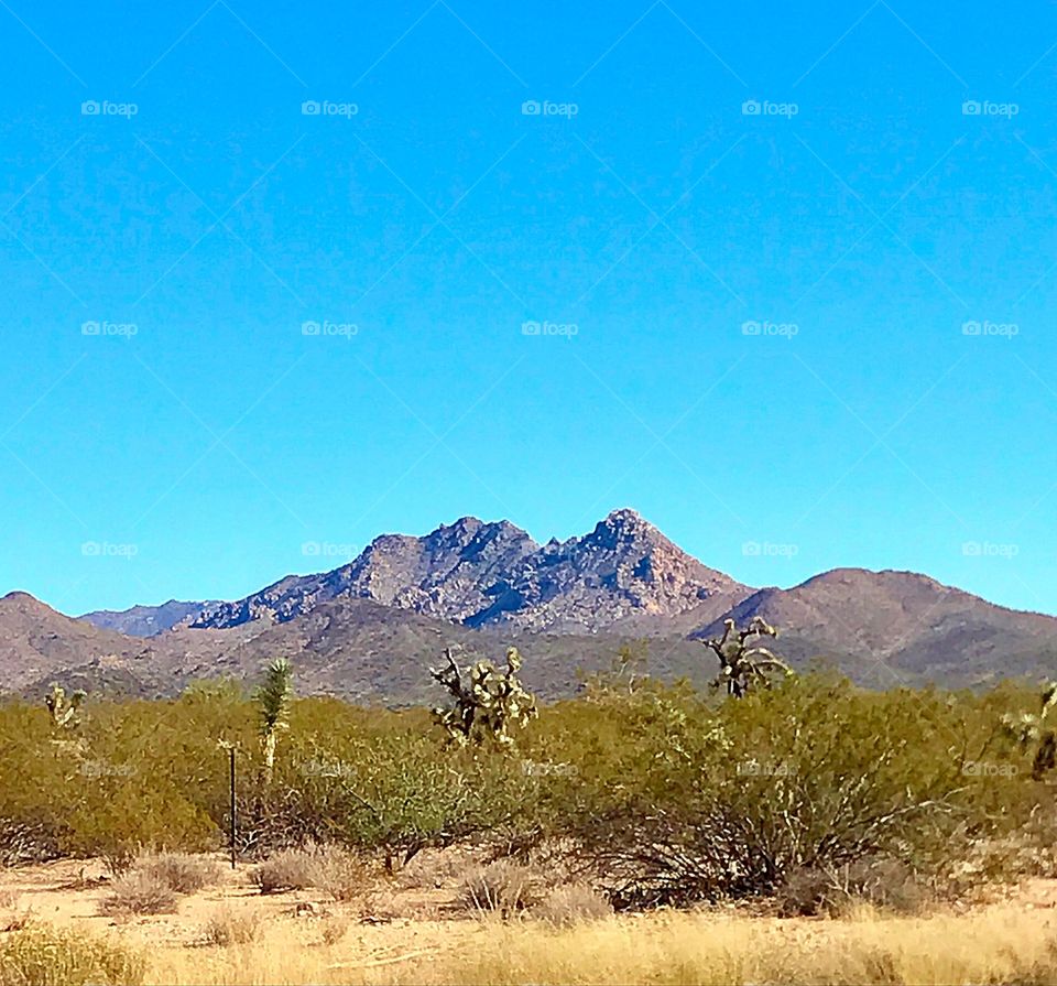 Scenic view of mountains in forest