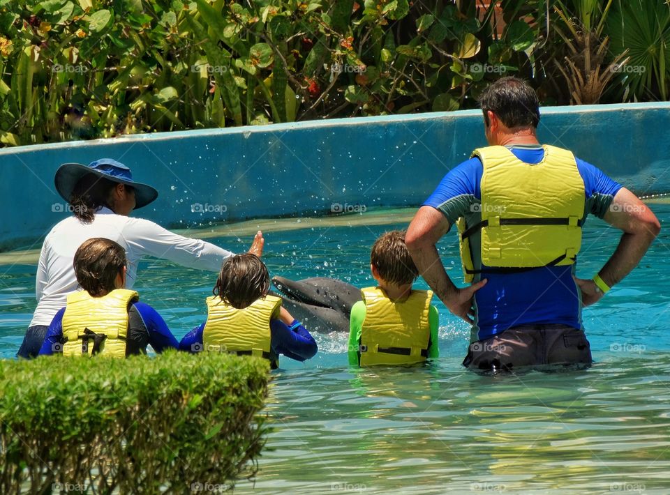 Swimming With Dolphins
