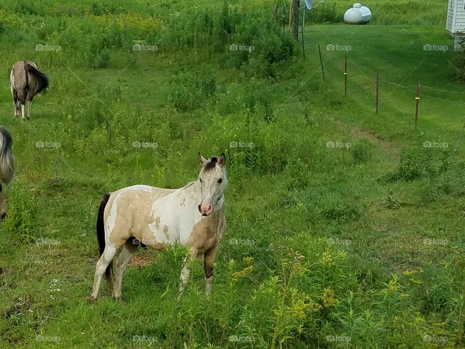 Driving the Back Roads and enjoying everything around us
