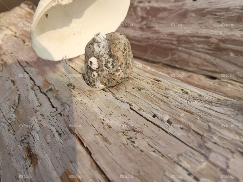 Cool rocks by the sea