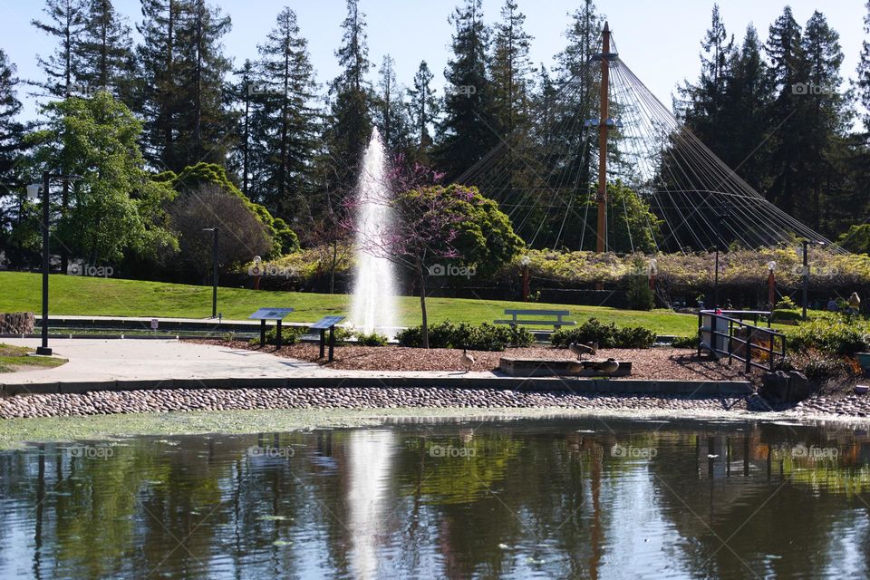 Evaporation from the pond and water sprays from fountain create a pleasant environment.