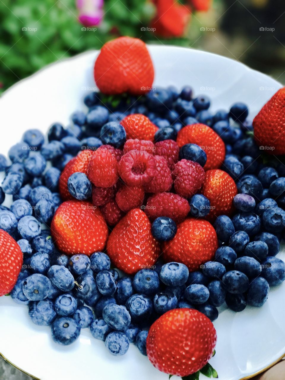 Colorful berries in plate