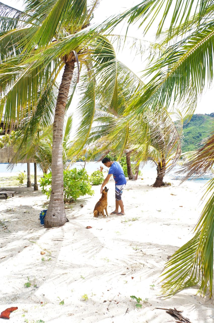 Man and dog friendship 
