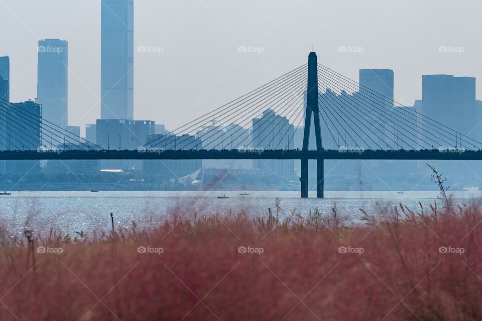 A cross-river bridge 