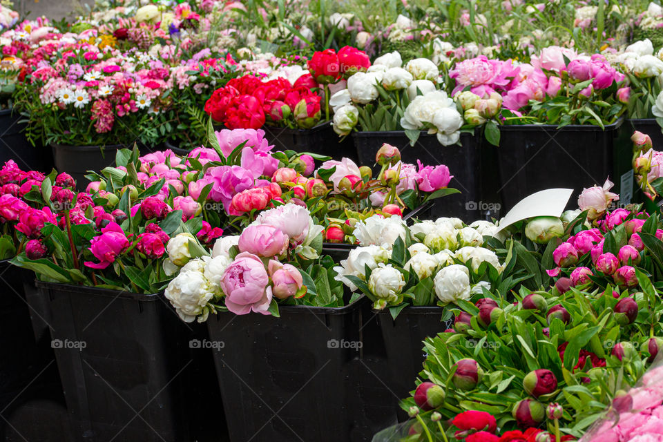 flowers on a market