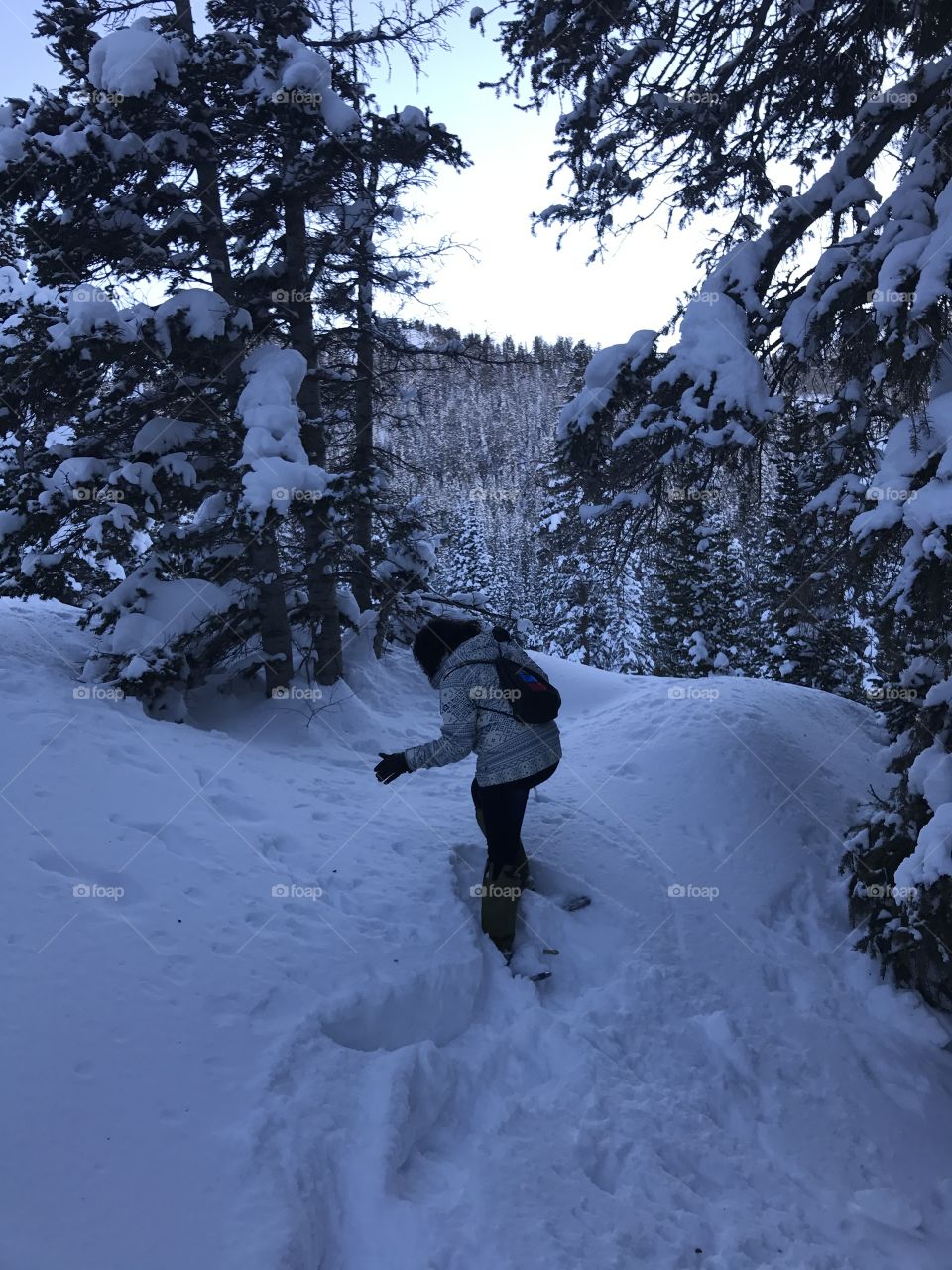 Snowshoeing the untraveled path